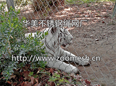 狮虎园围栏网、大型猫科动物围栏网、老虎围网