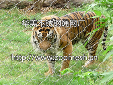 狮子围网、老虎笼舍网、不锈钢豹子围网、不锈钢绳网