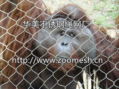 狒狒笼舍防护网、山魈隔离网、大猩猩笼舍网