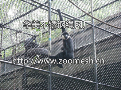 不锈钢猴围网、动物围栏网、动物笼舍网