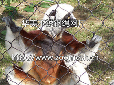 不锈钢编织网、钢丝绳编织围网、动物园防护网