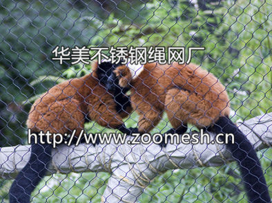不锈钢金属隔离网、不锈钢柔性防护网、动物园专用防护网