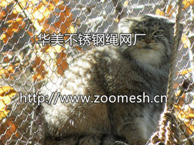小动物笼舍防护网、动物笼舍隔离网、不锈钢防护隔离网