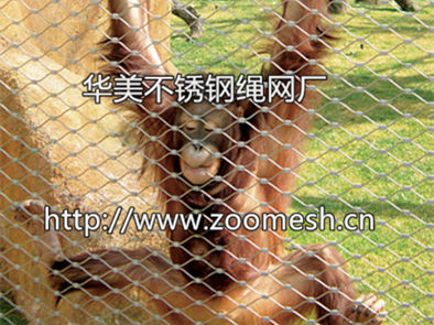 不锈钢绳扣网、动物笼舍扣网、不锈钢扣网