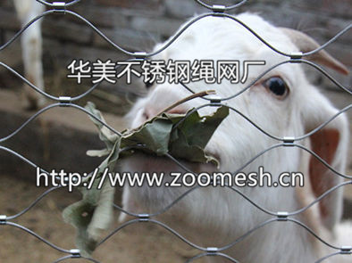 钢丝绳编织网、动物笼舍网、动物园围网