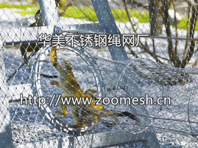 不锈钢扣绳编织网、不锈钢装饰扣网、动物笼舍围栏网