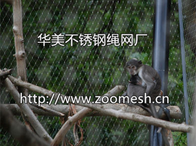 钢丝绳编织网、动物围网、装饰防护网、不锈钢安全隔离网