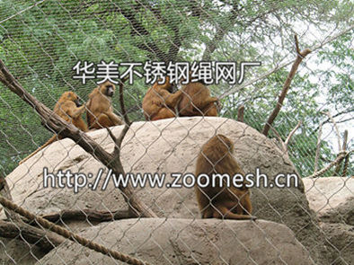 猴舍围栏网、猴笼舍网、不锈钢绳网、猴山防护网