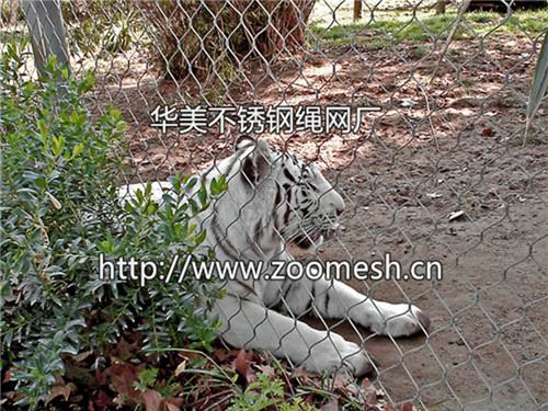 1_副本2555.jpg