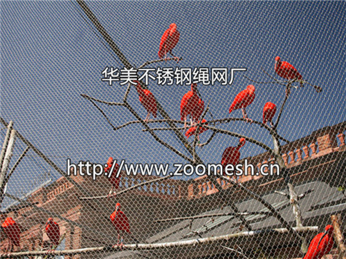 鸟园隔离网、鸟园周边网、不锈钢鸟园防护网设计
