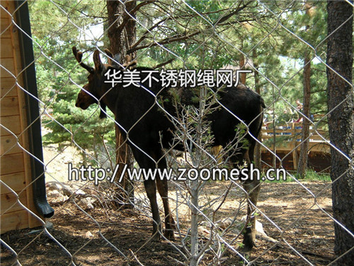 马鹿笼舍围网-鹿园不锈钢围栏网-动物园鹿馆隔离防护网