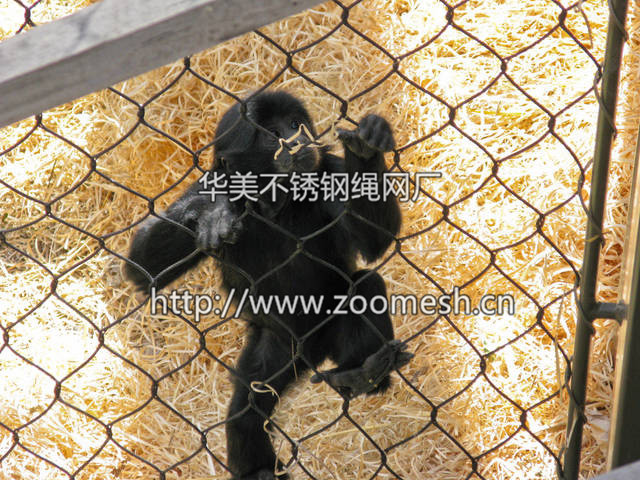 不锈钢猩猩围网、猩猩笼舍网、猩猩隔离防护网