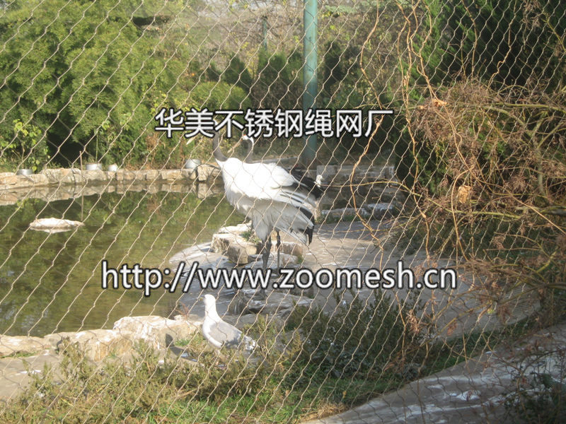 不锈钢丹顶鹤防护网、丹顶鹤隔离网