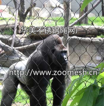 黑猩猩不锈钢围网、猩猩笼舍网、黑猩猩隔离防护网
