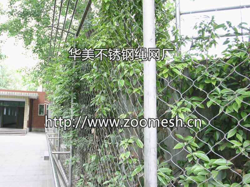 绿植攀爬专用绳网-建筑外墙防护网-钢丝绳装饰网