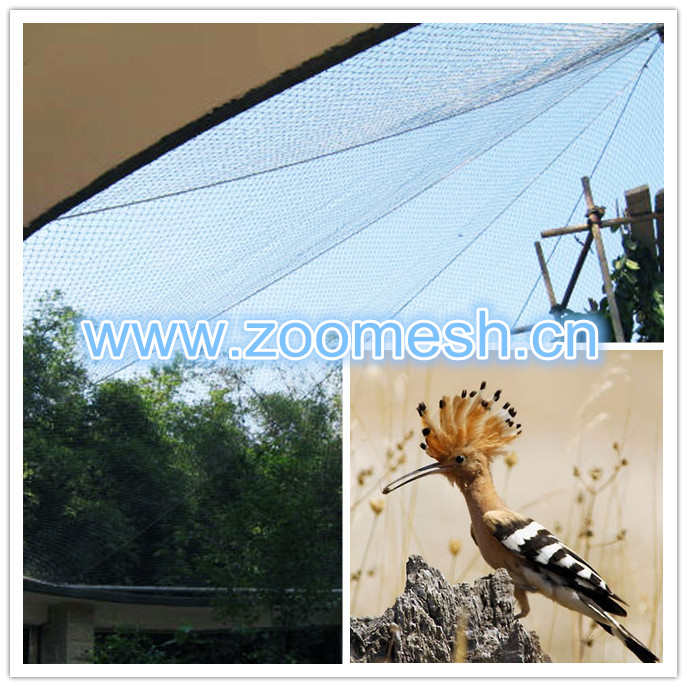 bird cages mesh-hoopoe_副本2.jpg