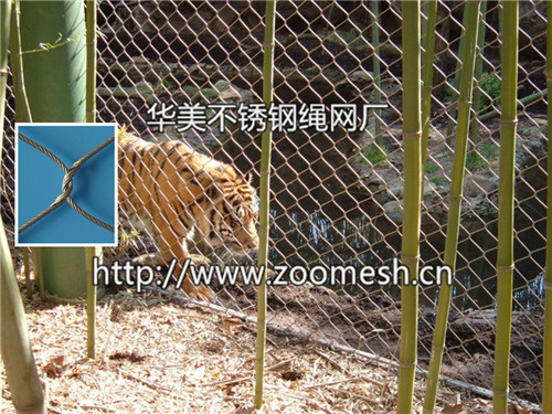 老虎笼舍、狮虎苑围网、老虎隔离安全防护网