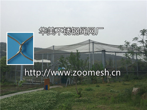 不锈钢鸟园围网、大型鸟园防护网