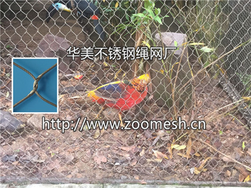 红腹锦鸡笼舍网、珍珠鸡防护网