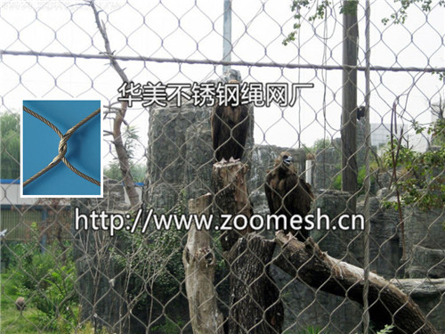猛禽笼舍网——老鹰围网、秃鹫防护网、金雕笼舍网、雕鹰安全防护网