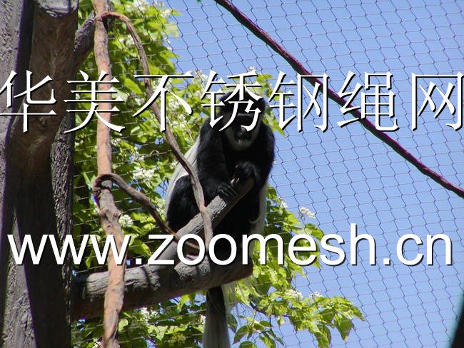 动物园黑冠猕猴笼舍围网，黑冠猕猴围栏网，黑冠猕猴防护网