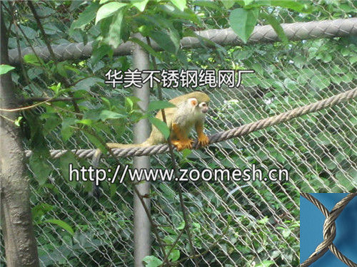 猴子围网、猴子笼舍网、猴子防护网