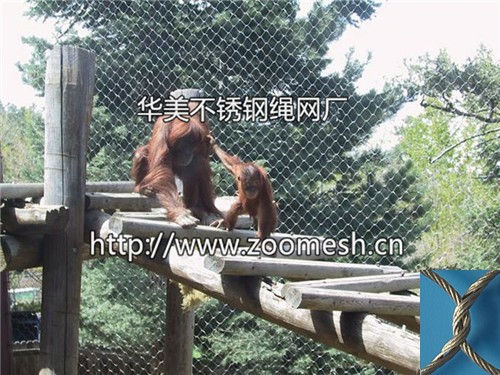 黑猩猩围网/猩猩笼舍网/不锈钢猩猩防护网