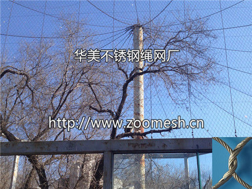 户外大型大鸟防护网--大鸟围网/大鸟笼舍网/鸟语林天网