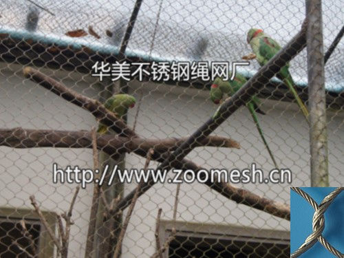绯胸鹦鹉笼舍、不锈钢鹦鹉围网、绯胸鹦鹉隔离防护网、大绯胸鹦鹉笼舍、小绯胸鹦鹉围网、亚历山大鹦鹉隔离网、虎皮鹦鹉防护网、金刚鹦鹉网罩、牡丹鹦鹉笼舍网、凤头鹦鹉安全专用网