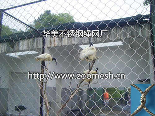 不锈钢绳网、白鹳围网、白鹳笼舍网、白鹳防护网、大雁围网、天鹅防护网、斑头雁笼舍网、棕头鸥围网