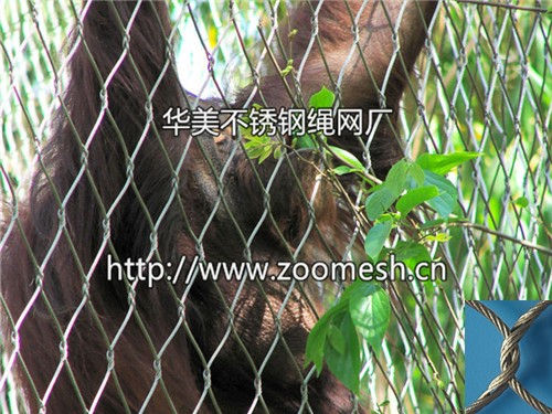 大猩猩隔离网、金刚猩猩围栏网、黑猩猩防护网、黑猩猩围栏网、大猩猩围网、倭黑猩猩笼舍网、不锈钢猩猩围栏网