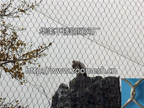 秃鹰笼舍网、秃鹰围栏网、秃鹰防护网、白头鹰围网、白头海雕笼舍网、白头雕防护网