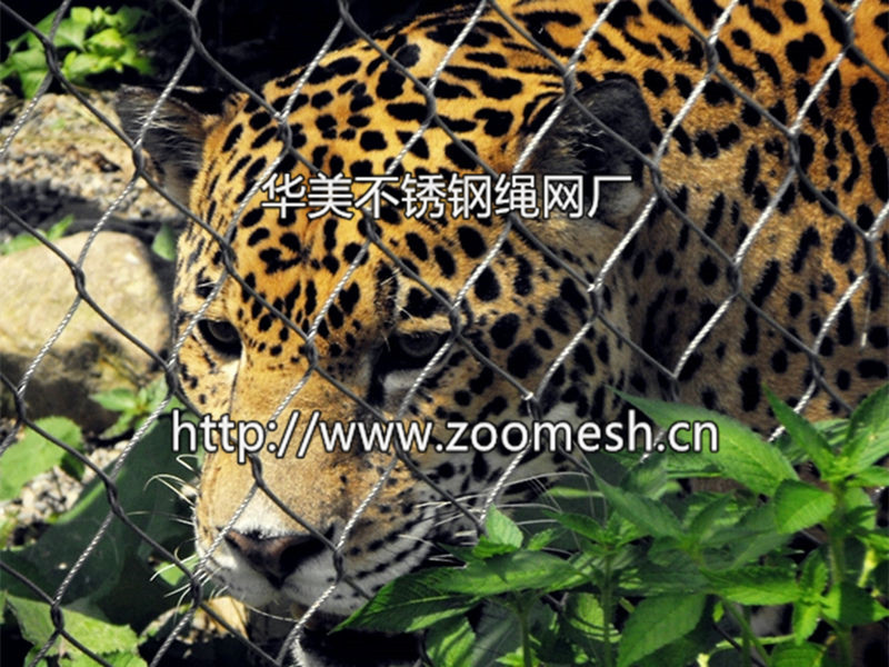 不锈钢绳网/柔性编织网--动物笼舍防护网