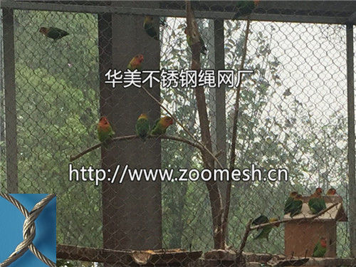 虎皮鹦鹉笼舍网、鹦鹉豪华围网笼舍、虎皮鹦鹉围网、不锈钢绳网、不锈钢鹦鹉笼舍网、钢丝绳鹦鹉围网