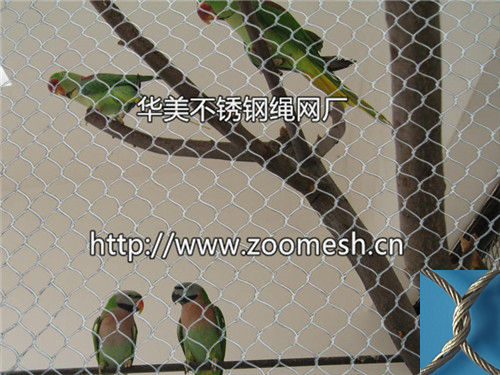 虎皮鹦鹉笼舍网、鹦鹉豪华围网笼舍、虎皮鹦鹉围网、不锈钢绳网、不锈钢鹦鹉笼舍网、钢丝绳鹦鹉围网