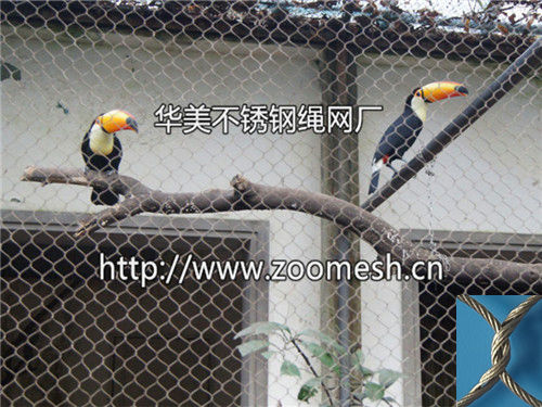 不锈钢丝网、动物园笼舍、动物园围网、不锈钢丝绳网、钢丝绳编织网、不锈钢鸟语林网、百鸟园网、不锈钢绳围网、动物园围网、动物笼舍网、体育围栏网、桥梁防护网、公园美化隔离网