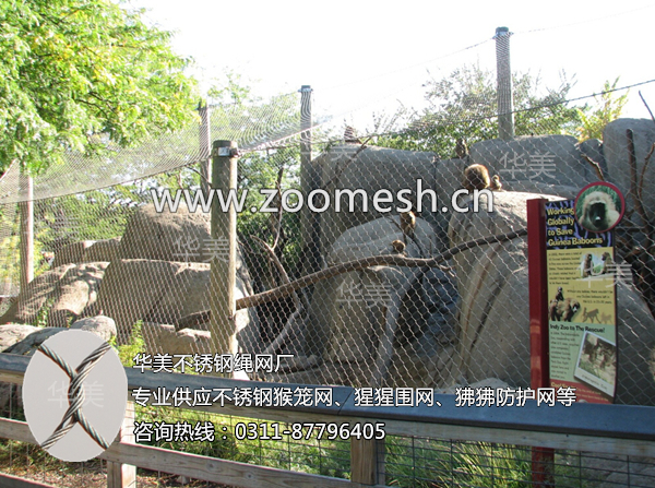 猴笼网、不锈钢猴子笼网、钢丝绳猴笼围栏网、不锈钢绳网