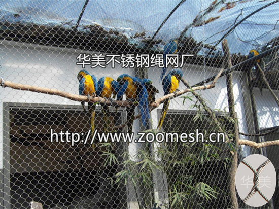 出售金刚鹦鹉笼舍网、鹦鹉笼围栏网供应商、鹦鹉笼舍围网生产批发、不锈钢绳网、钢丝绳编织网、不锈钢丝绳网