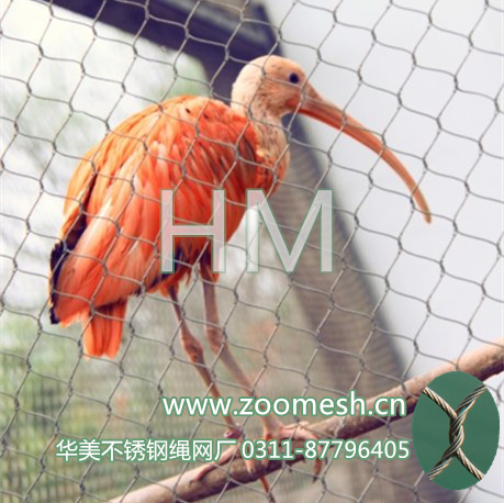 动物园专用网，动物笼舍，动物园笼舍设计，动物笼舍网，不锈钢绳网，动物园笼舍专用网