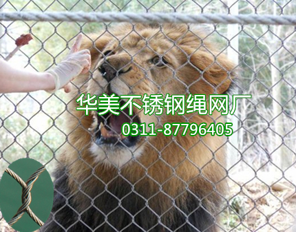 狮子笼舍、不锈钢丝绳网、狮子笼舍网、不锈钢丝绳防护网、不锈钢绳网、狮子笼舍防护网、不锈钢狮子笼舍围网