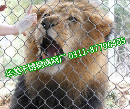 不锈钢绳网用于狮子防护网、狮子围网、狮子笼舍网等虎狮豹场所