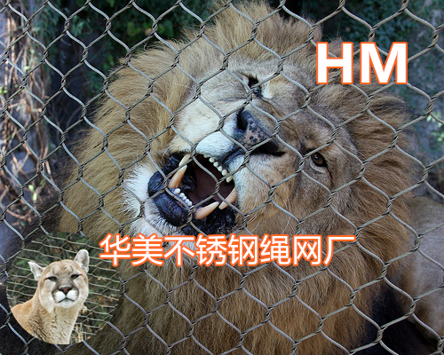 不锈钢动物安全隔离网-动物园专用围网-柔性不锈钢绳网