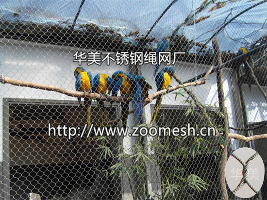 金刚鹦鹉笼舍网，金刚鹦鹉防护网，鹦鹉防护网，金刚鹦鹉围网