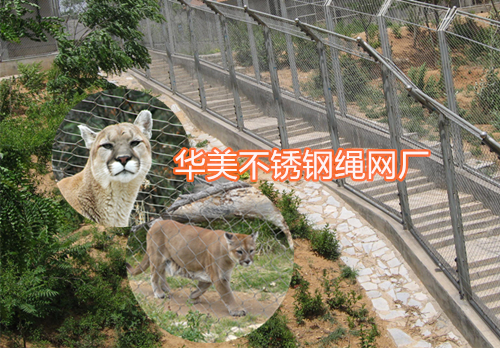 动物防护网，动物围网，动物园笼舍网，不锈钢绳网