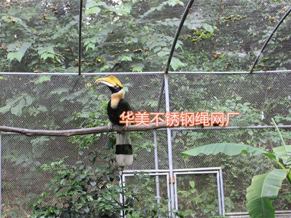 鹦鹉笼舍网， 鹦鹉笼防护网，不锈钢鹦鹉围网，鹦鹉笼围网，不锈钢绳网，鹦鹉防护网