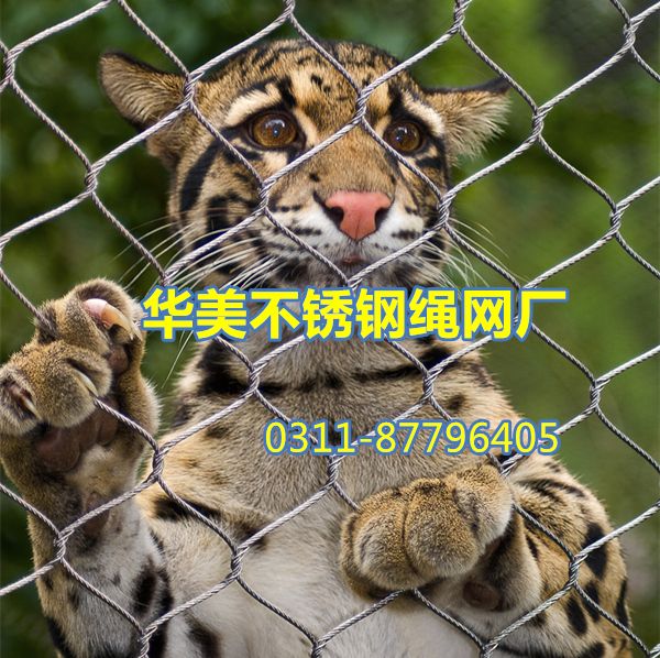 动物围网，动物园围网，动物笼围网-不锈钢绳网