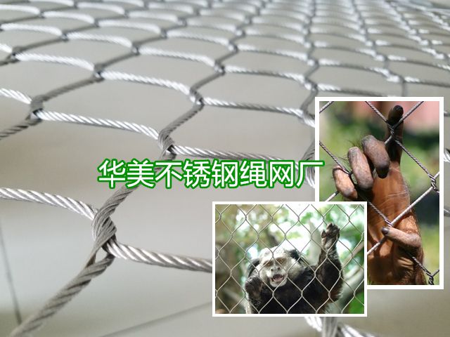 柔性钢丝绳网，动物园专用不锈钢绳网，不锈钢绳网，柔性不锈钢绳网，不锈钢柔性网，钢丝绳柔性网