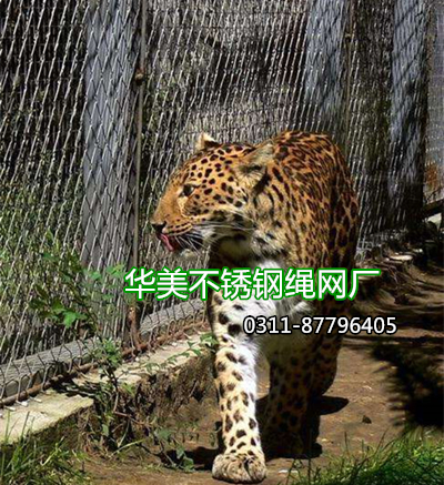 不锈钢绳网，动物笼舍网，不锈钢动物笼网，动物围网，动物笼防护网