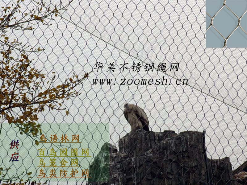 鸟语林钢丝绳网生产商，百鸟园围网.jpg