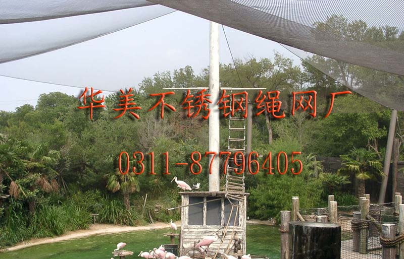 高空鸟围网.jpg